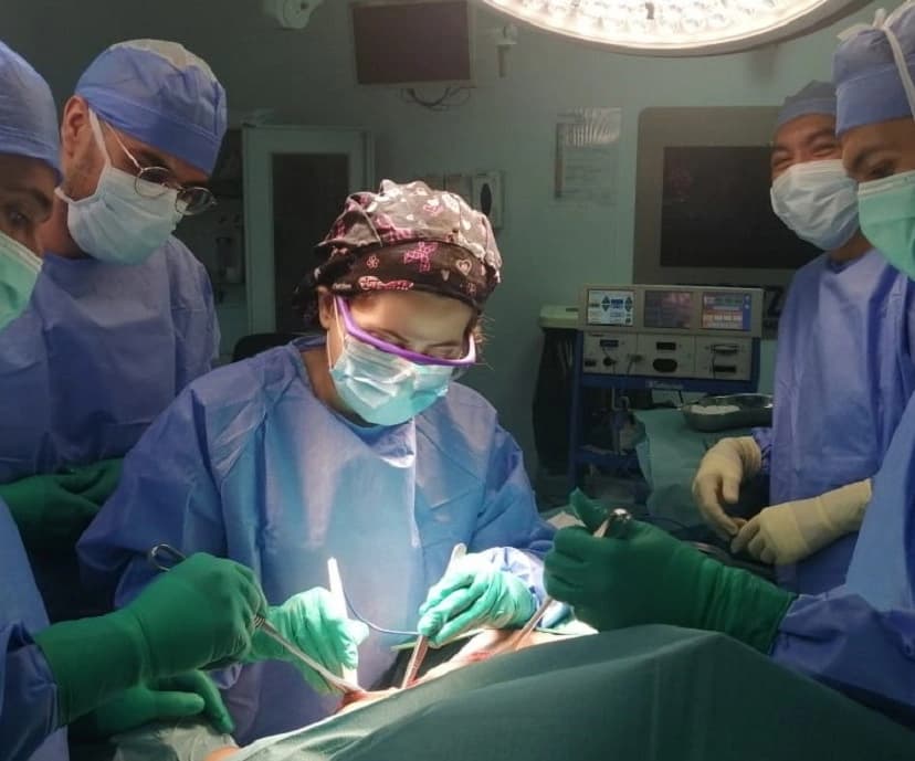 Basic Operative Surgical Skills (BOSS)