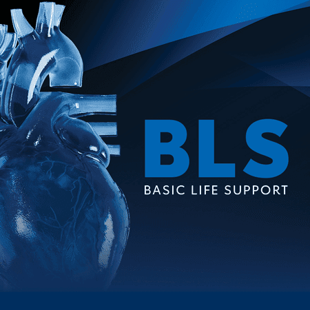 Basic Life Support (BLS)